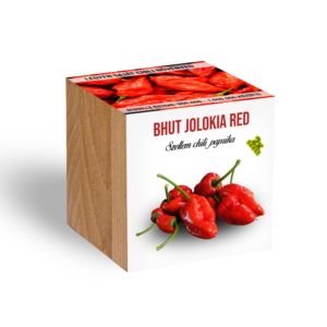 Szellem chili - Bhut Jolokia Red fa kaspóba