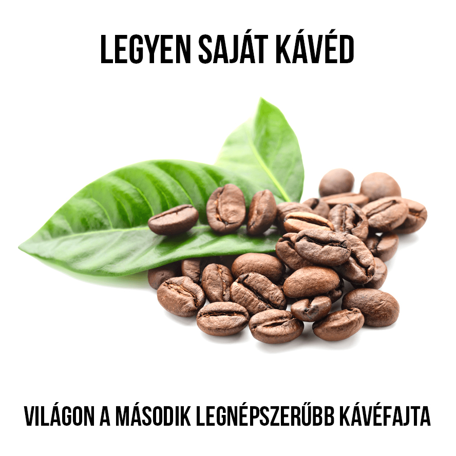 Kávécserje növény nevelő szett