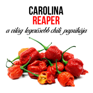 Carolina Reaper chili paprika növény nevelő szett - Image 3