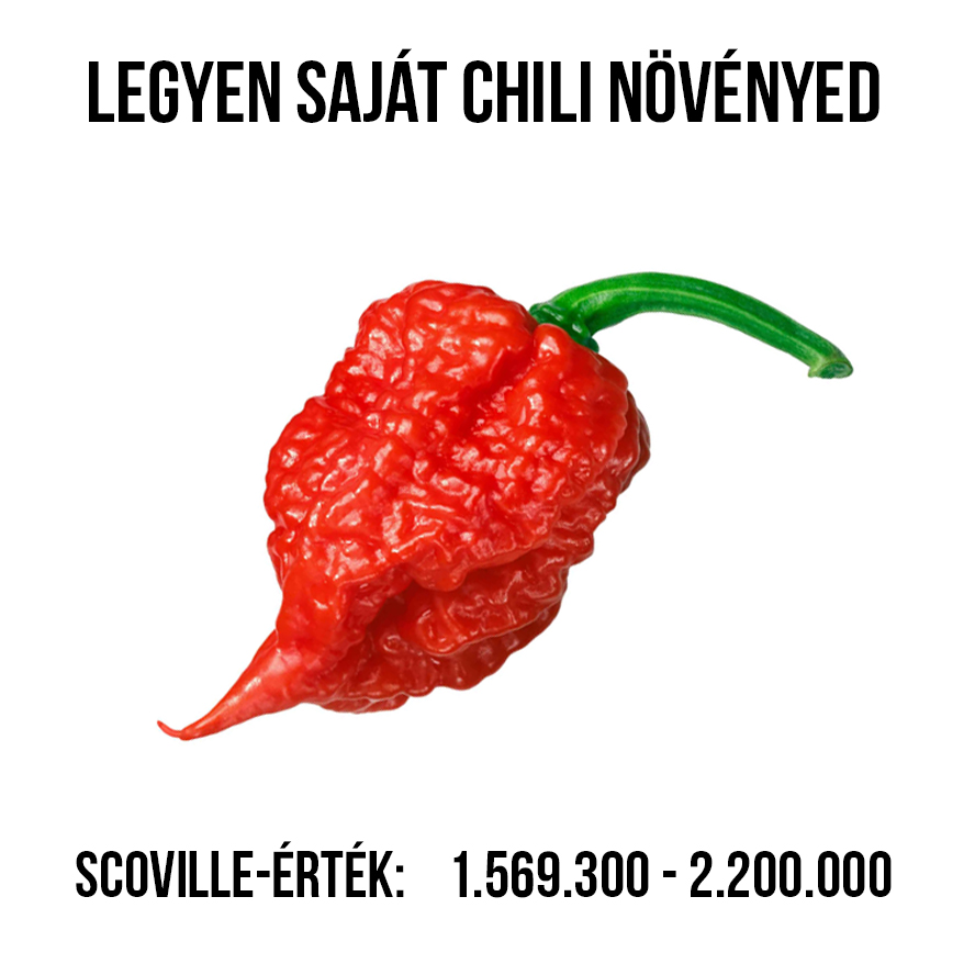 Carolina Reaper chili paprika növény nevelő szett