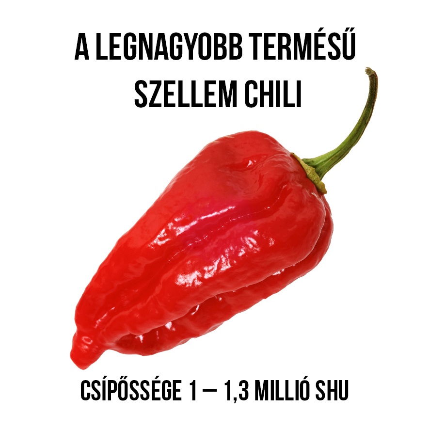 King Naga chili paprika növény nevelő szett