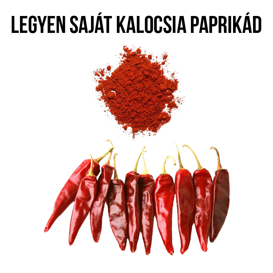 Kalocsai csípős paprika növény nevelő szett