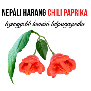 Nepáli harang chili paprika növény nevelő szett - Image 3