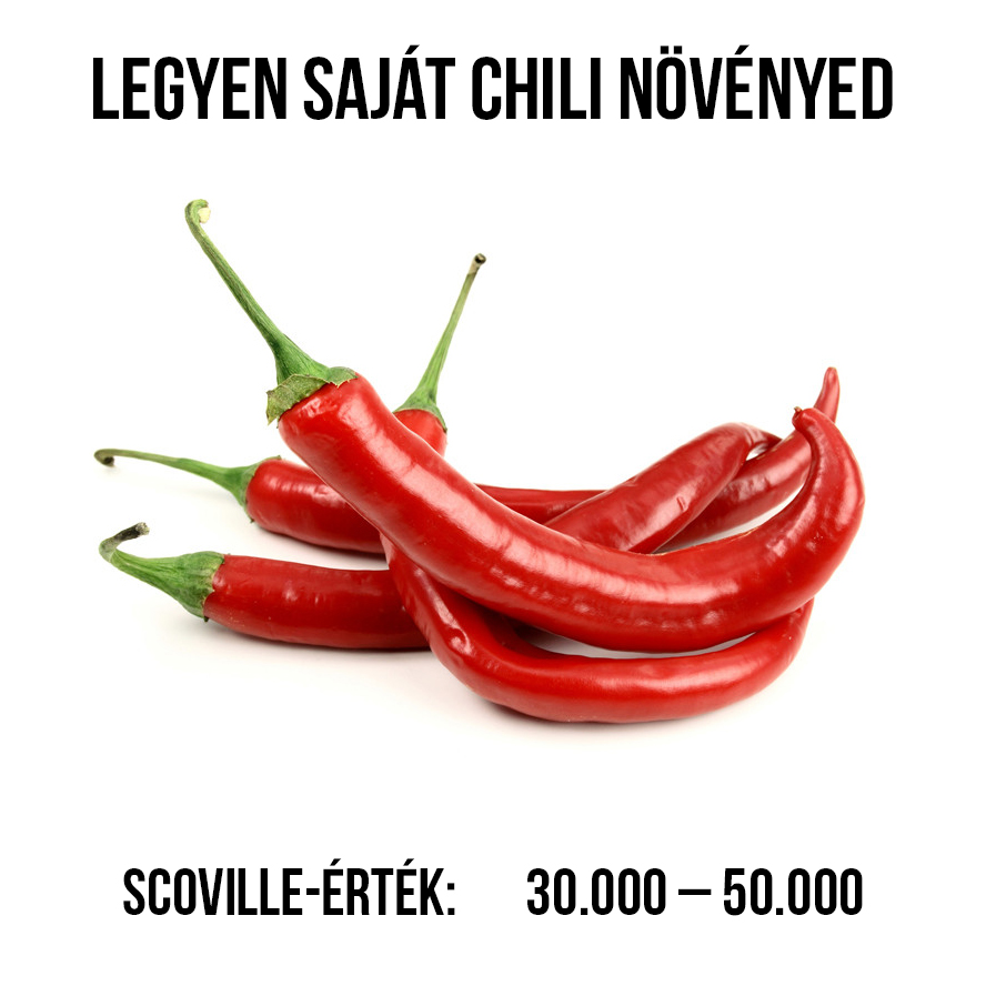 Cayenne red chili paprika növény nevelő szett