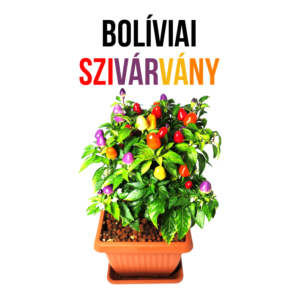 Bolíviai szivárvány chili paprika növény nevelő szett - Image 3