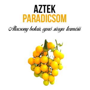 Aztek paradicsom növény nevelő szett - Image 3