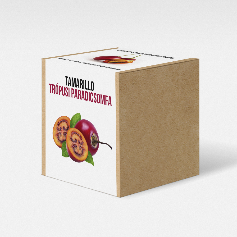 Tamarillo - Trópusi paradicsomfa növény nevelő szett