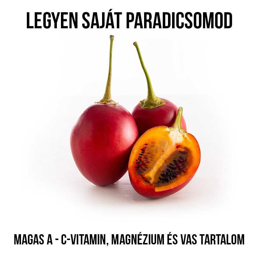 Tamarillo - Trópusi paradicsomfa növény nevelő szett