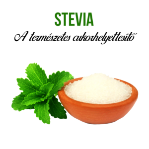 Stevia növény nevelő szett - Image 3