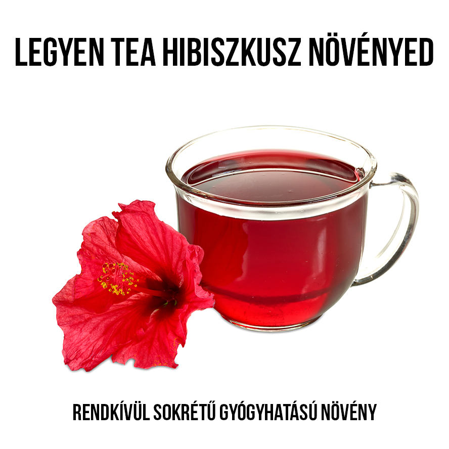 Tea hibiszkusz növény nevelő szett