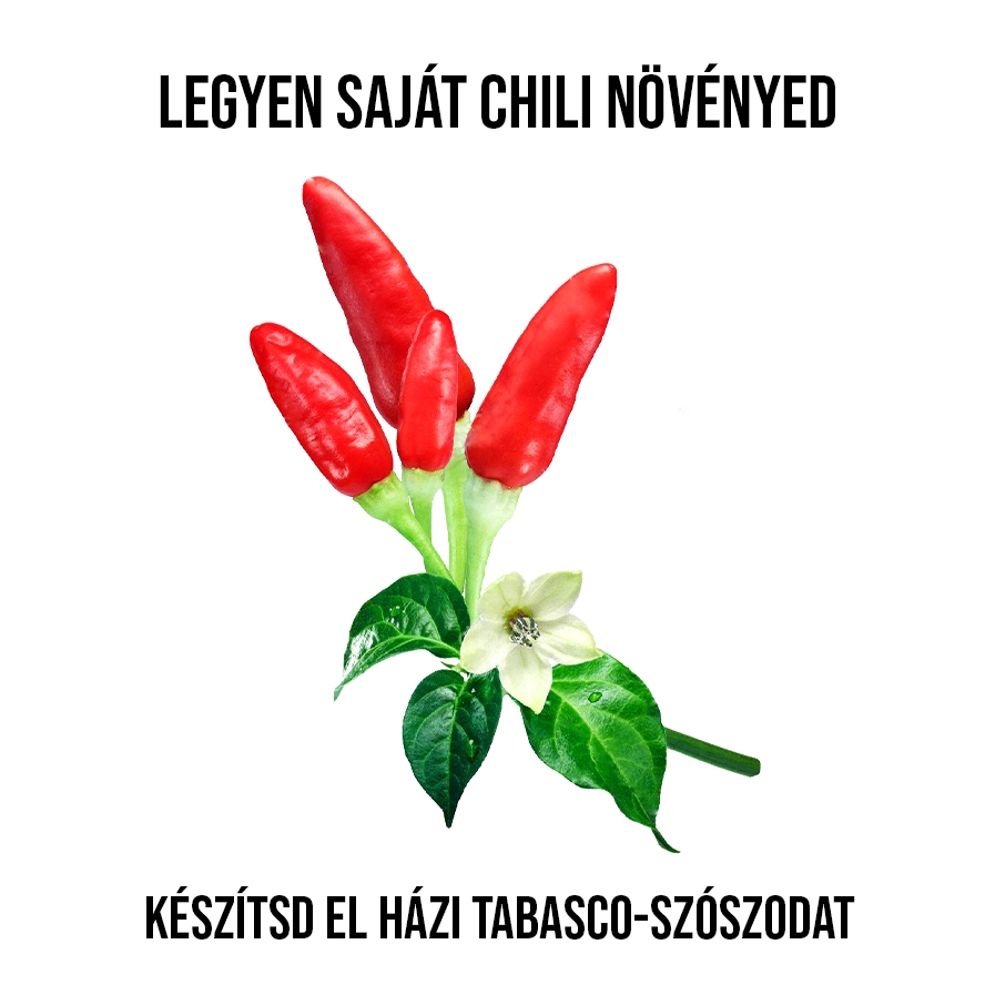 Tabasco chili növény nevelő szett