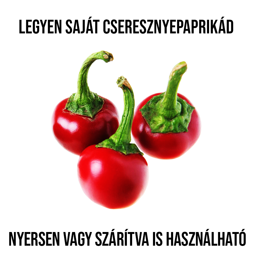 Piros cseresznye paprika növény nevelő szett