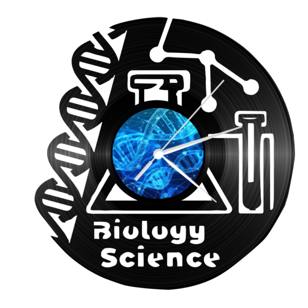 Bakelit falióra - DNS - WDWR-bko-00373